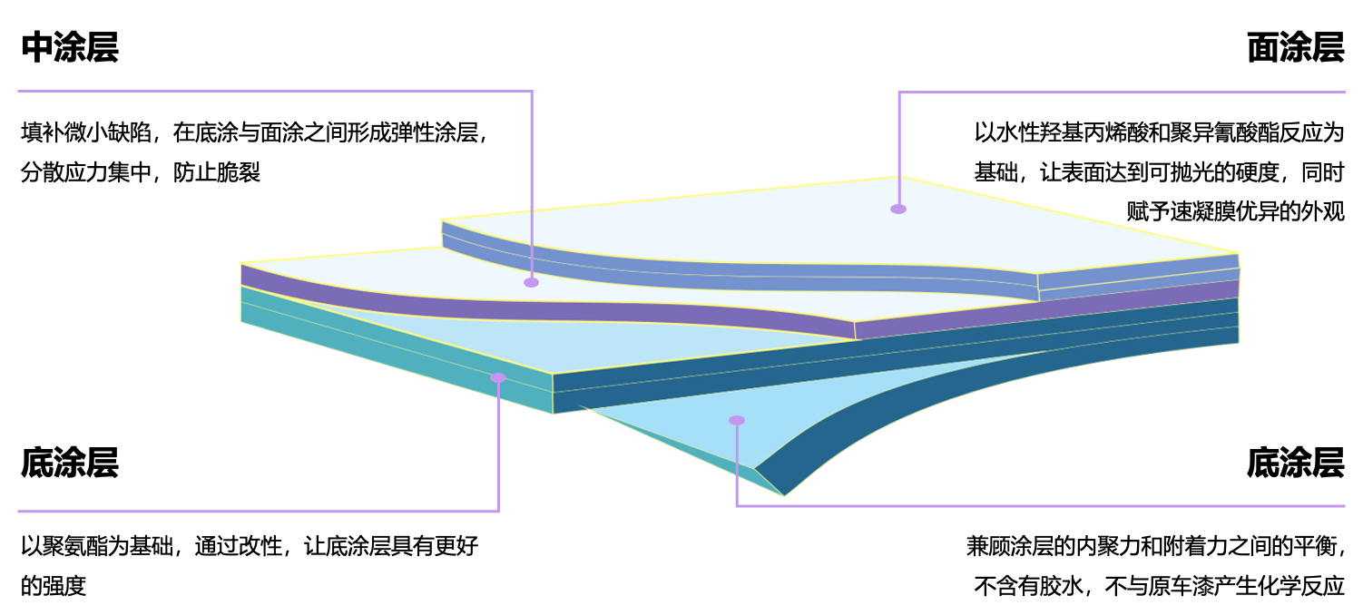 速凝膜结构图